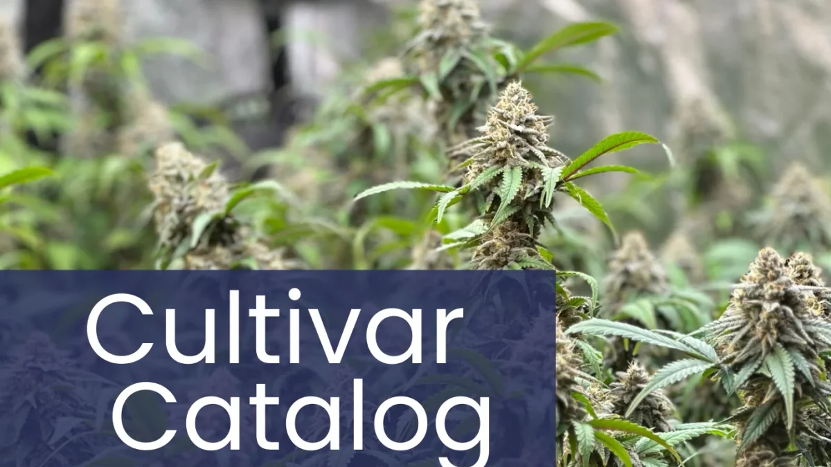 Cultivar Catalogue 2026