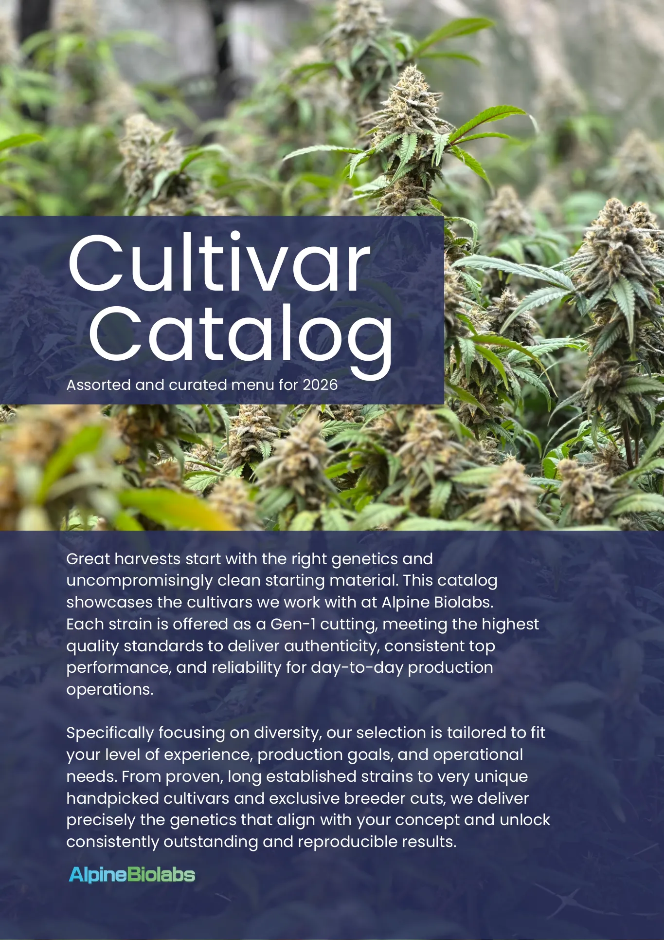 Cover of the Alpine BioLabs Cultivar Catalogue 2026