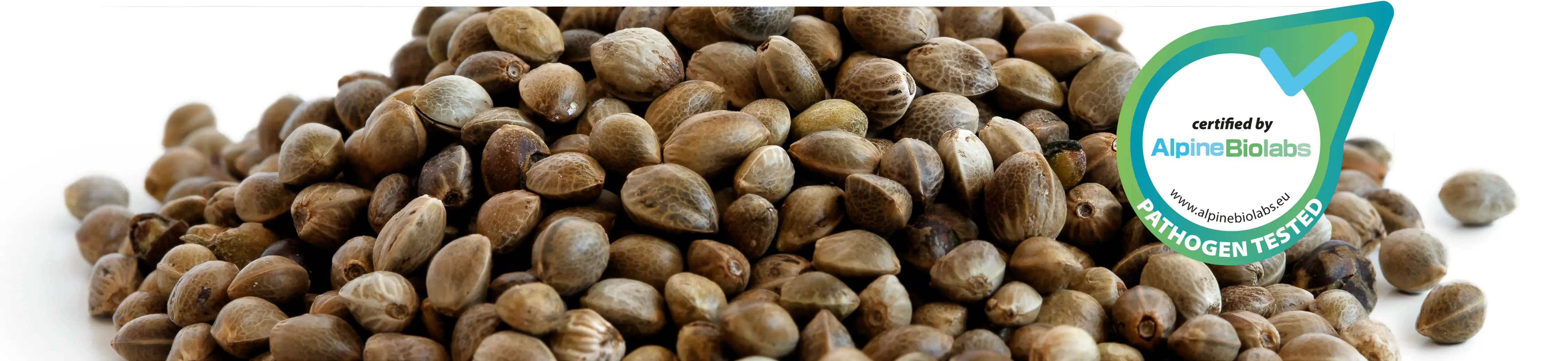 Seed Certification: a commitment to quality